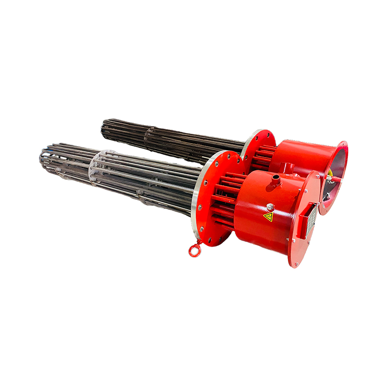 Flanged Immersion Instrumentt